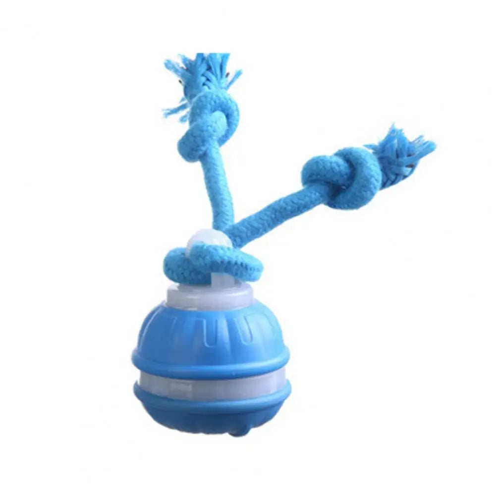 Smart Automatic Moving Ball Squeaky Dog Toy with Motion Sensor Compact Dog Ball USB Charging Interactive Rolling Pet Toy