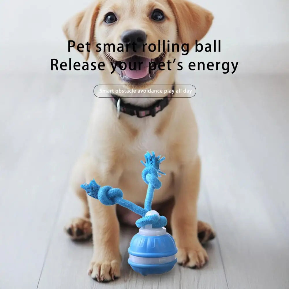 Smart Automatic Moving Ball Squeaky Dog Toy with Motion Sensor Compact Dog Ball USB Charging Interactive Rolling Pet Toy