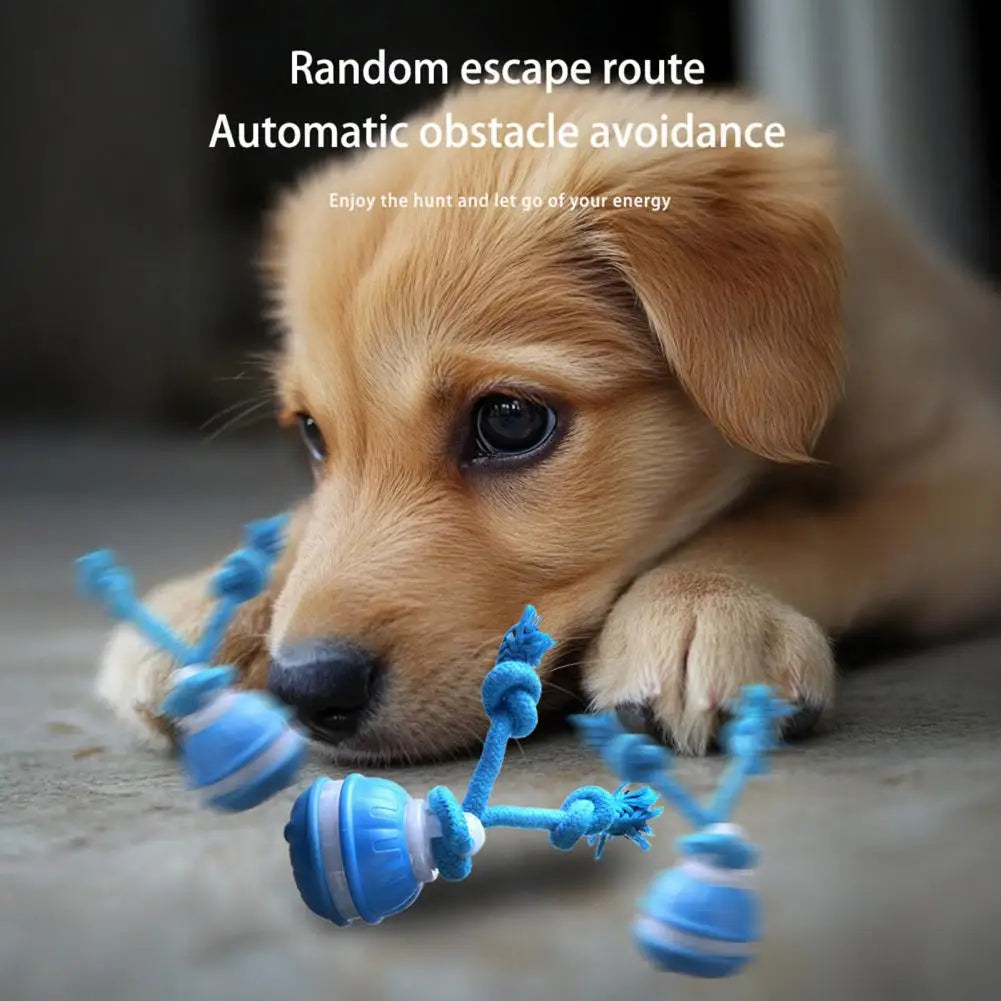 Smart Automatic Moving Ball Squeaky Dog Toy with Motion Sensor Compact Dog Ball USB Charging Interactive Rolling Pet Toy