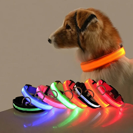 Glow-in-the-Dark LED Dog Leash - Nylon Safety Leash for Night Walks